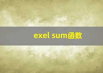 exel sum函数